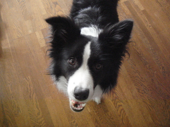 c0343734_01561060.jpg