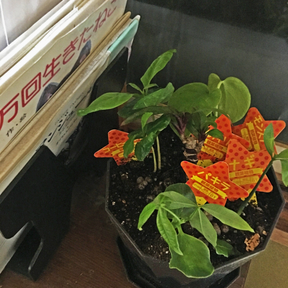 c0343734_21393191.jpg