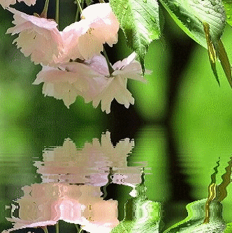 a0193457_20194745.gif