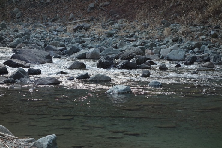 f0310771_20091380.jpg