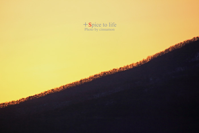 simple is best - + Spice to life