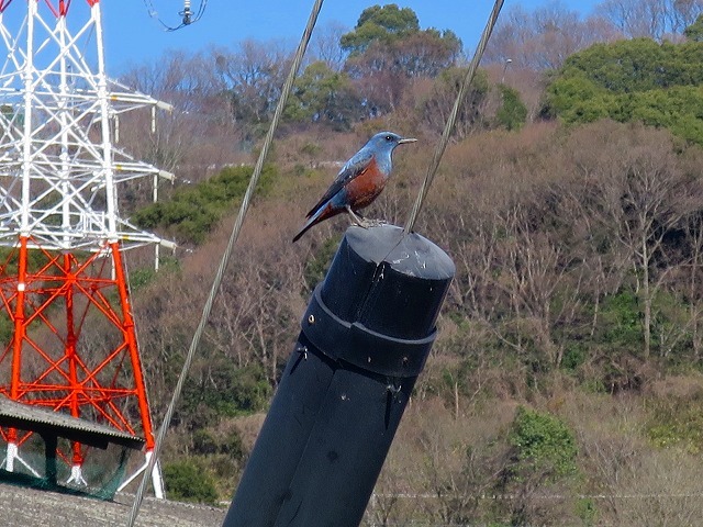 b0326483_22095340.jpg