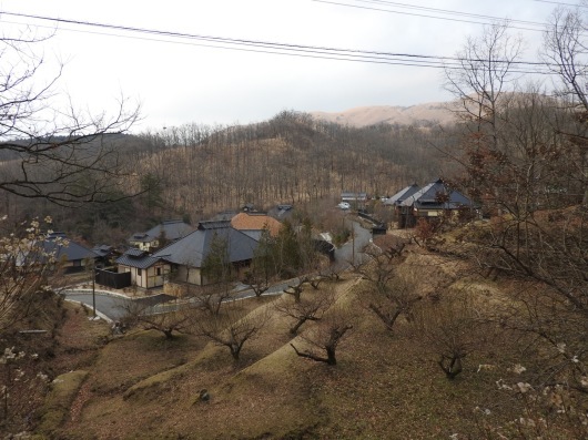 a0300985_18181444.jpeg