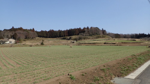 a0338094_01544744.jpg
