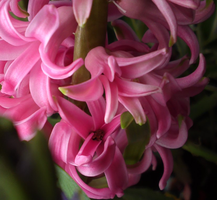a0031000_20383879.jpg