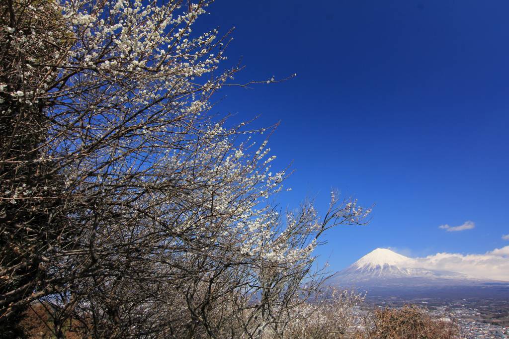 a0188405_00203809.jpg