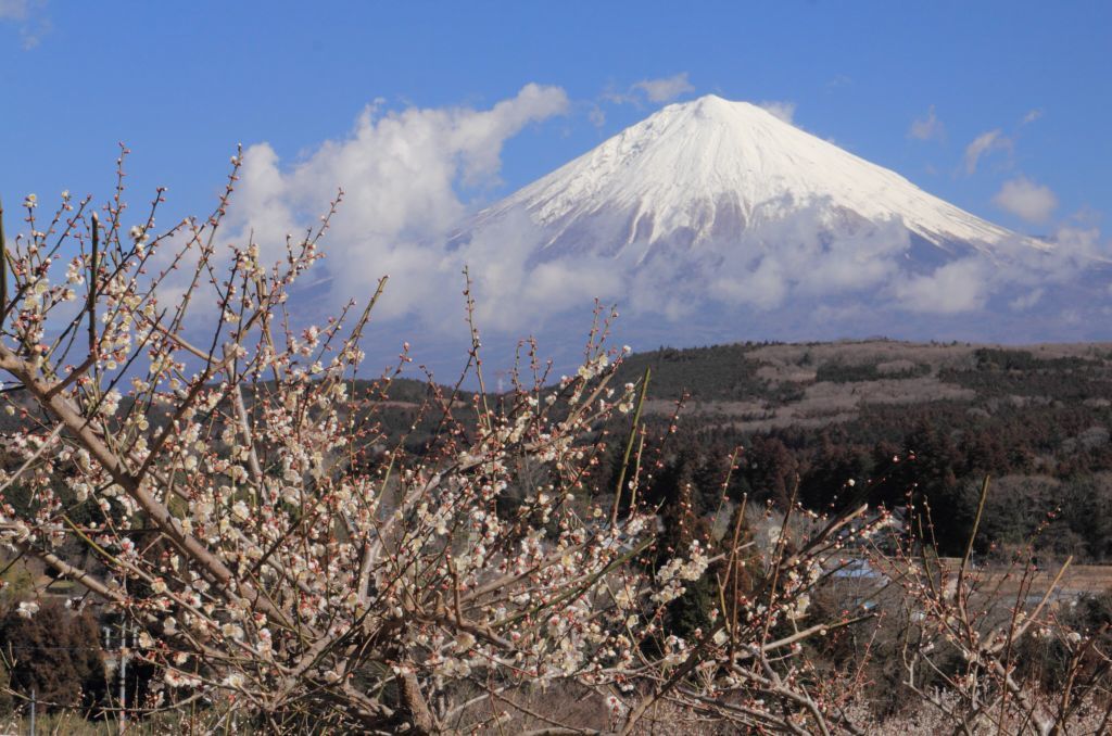 a0188405_22302144.jpg