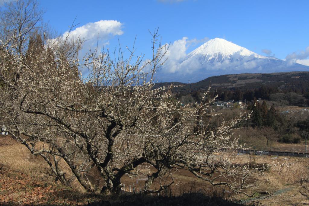 a0188405_22303160.jpg