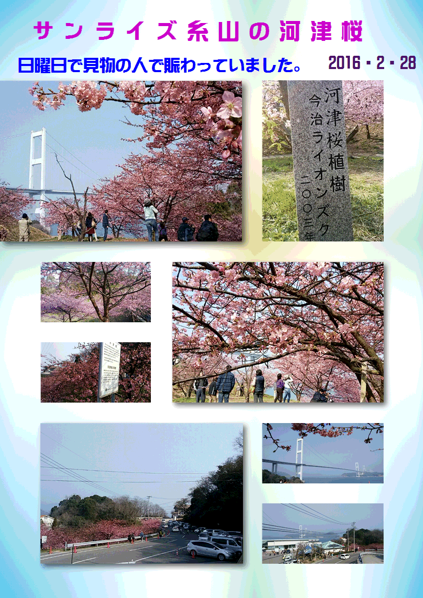 f0231709_5534089.gif