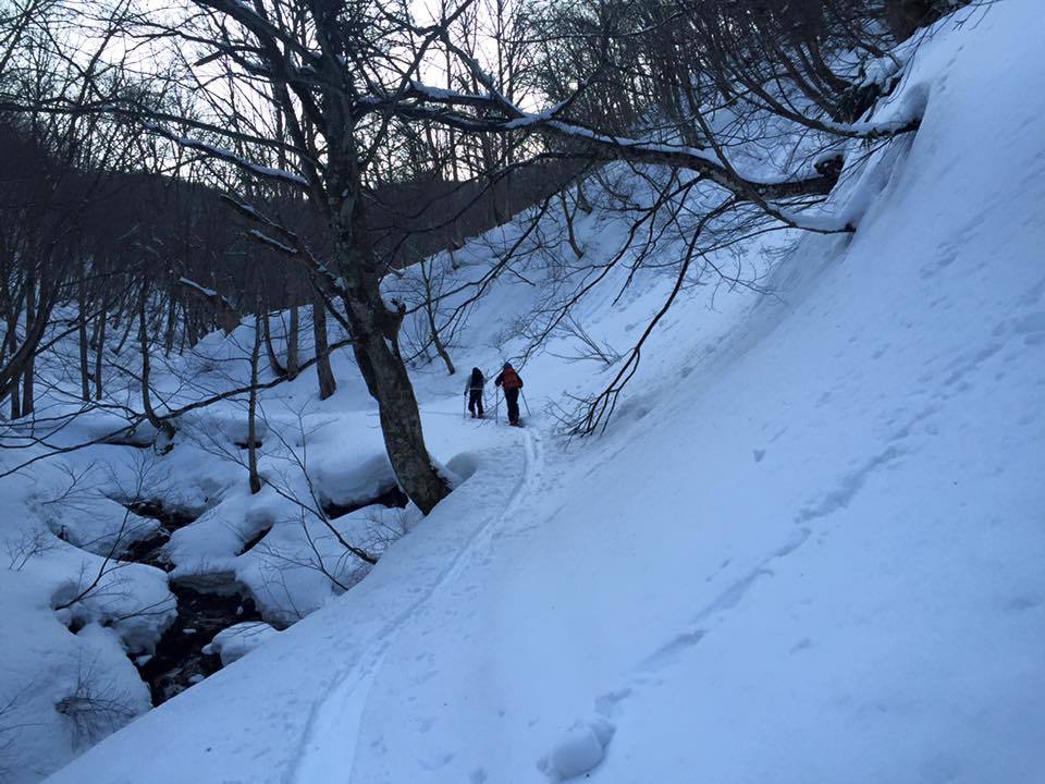 a0119132_07190527.jpg