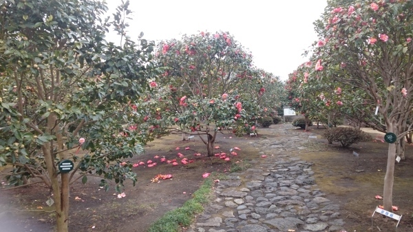 c0229433_13020876.jpg