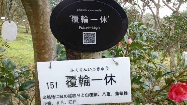 c0229433_13030830.jpg