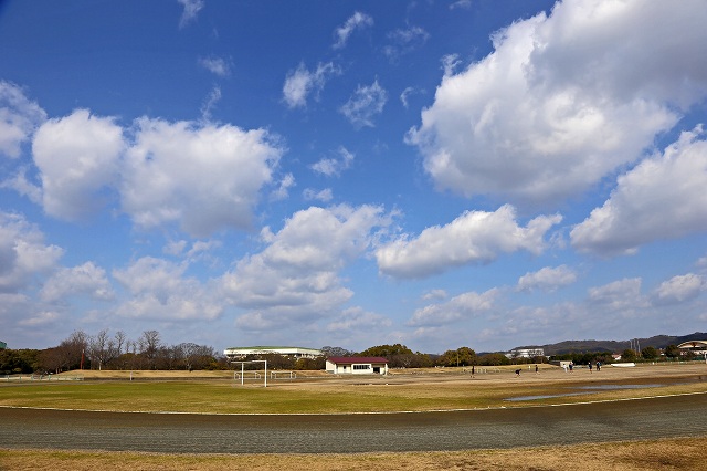 a0242438_20205784.jpg