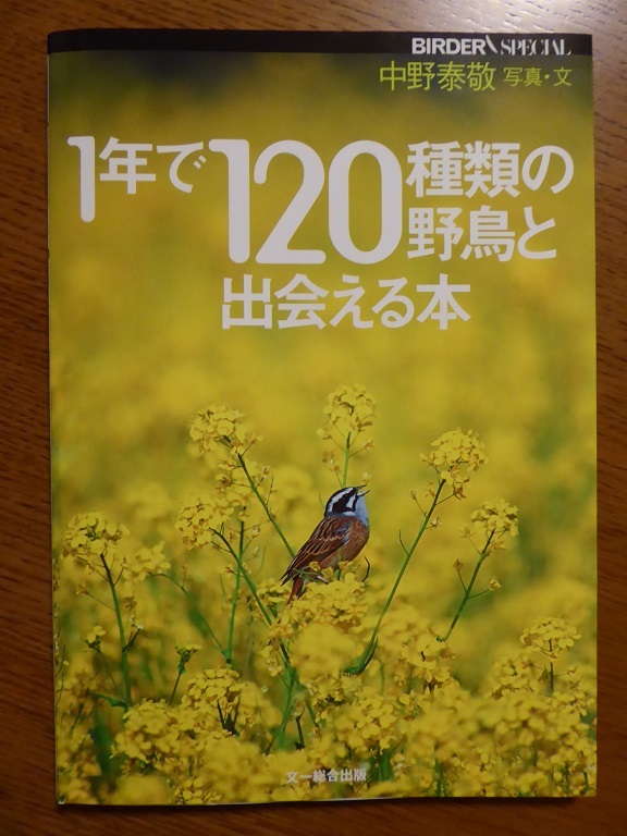 d0288144_14154404.jpg
