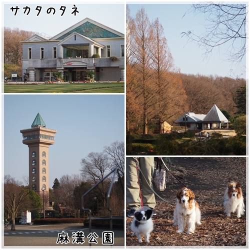 d0013149_00424999.jpg