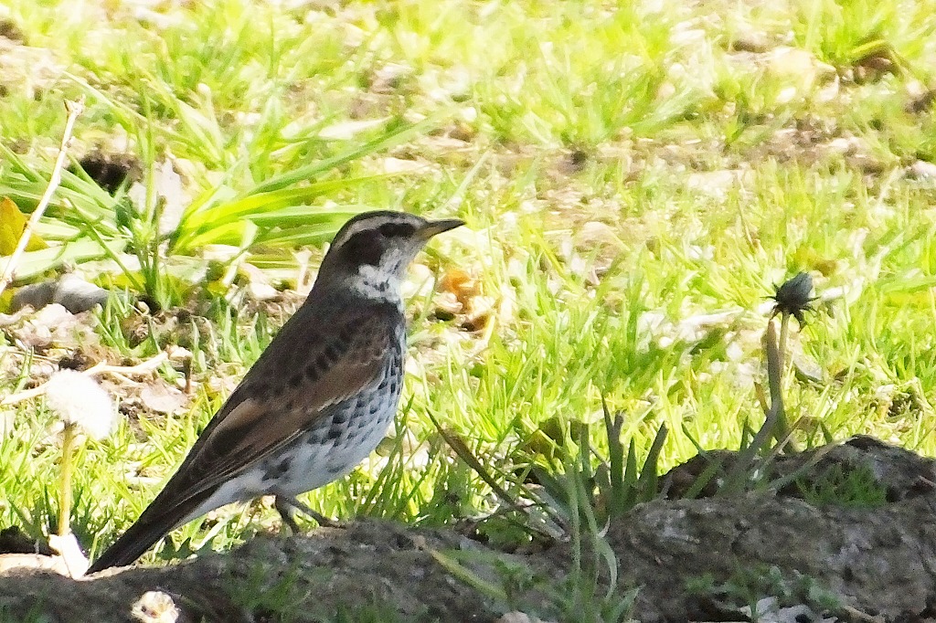 b0236251_11265939.jpg