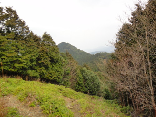 c0179351_20515379.jpg