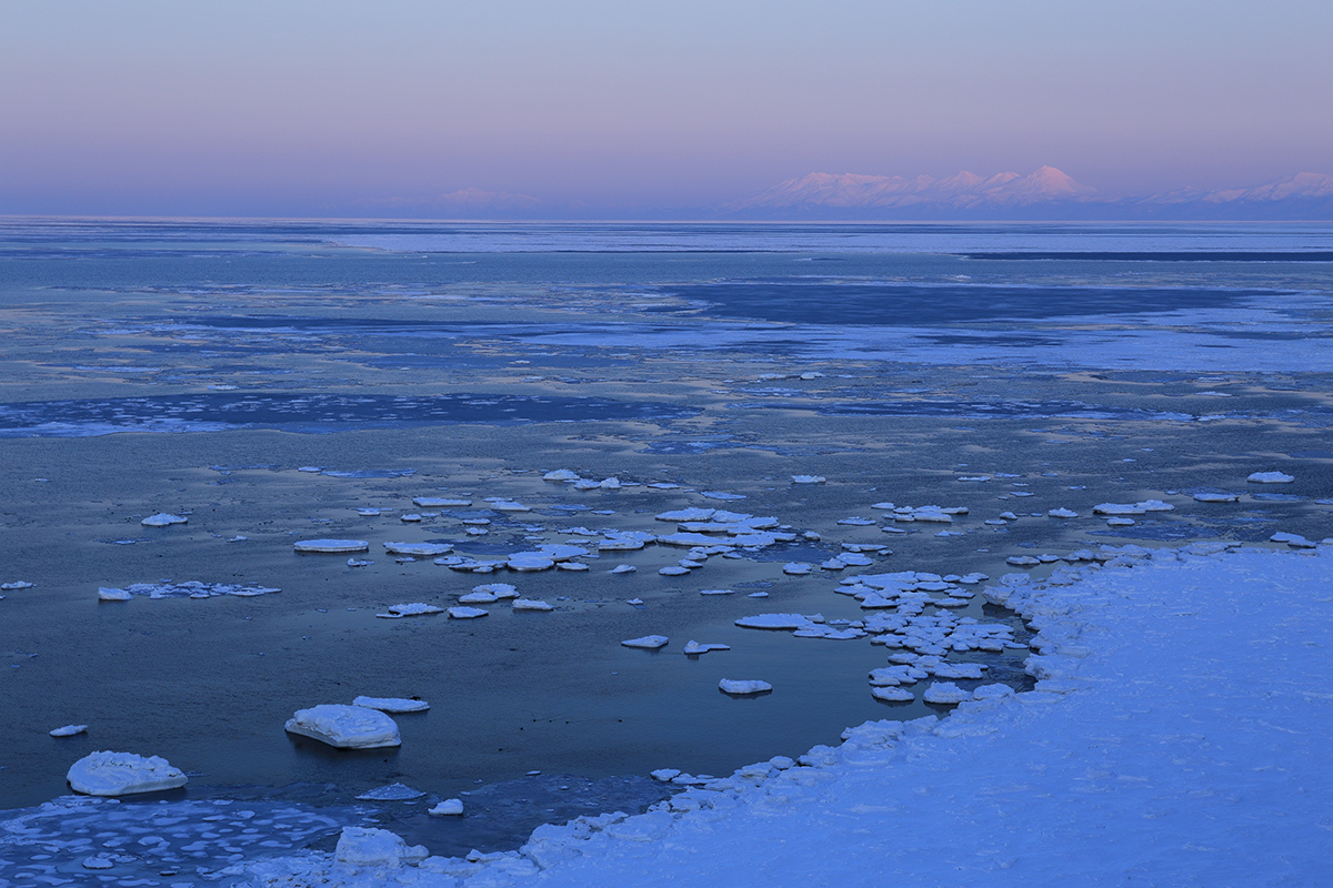 f0054366_21135554.jpg