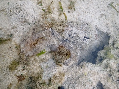 f0338188_3532856.jpg