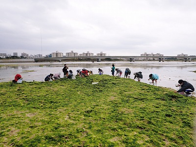 f0338188_353456.jpg