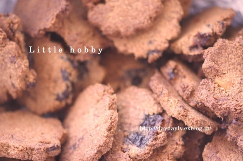 おから入りの手作りクッキー - Little hobby