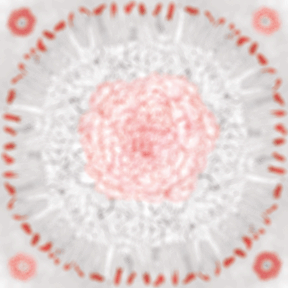a0198593_22512474.gif
