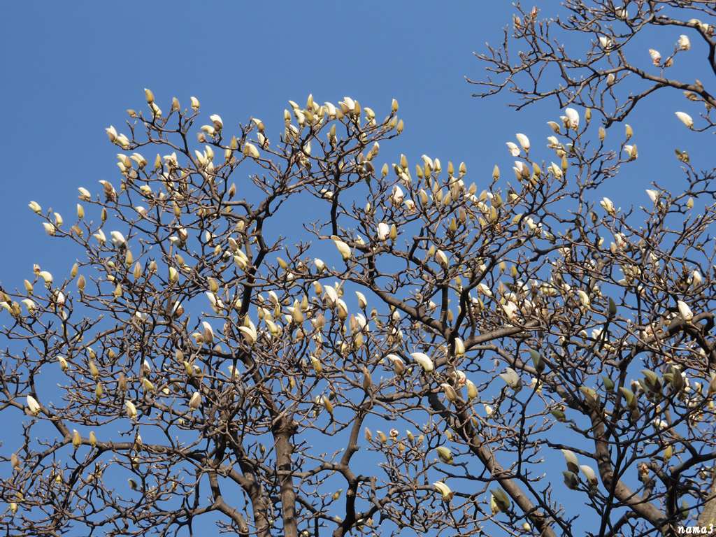 f0224100_20595411.jpg