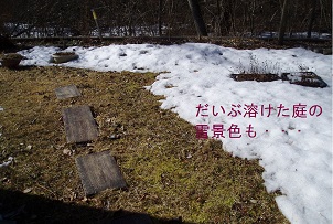 b0200310_2043489.jpg