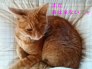 b0200310_2085973.jpg