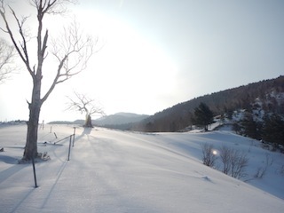 c0359615_20501926.jpg