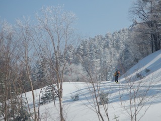 c0359615_20505559.jpg