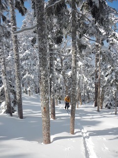 c0359615_20510530.jpg