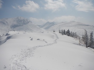 c0359615_20514178.jpg