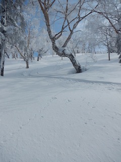 c0359615_20515785.jpg