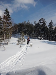 c0359615_20521911.jpg