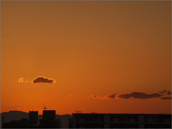 d0114517_915581.jpg