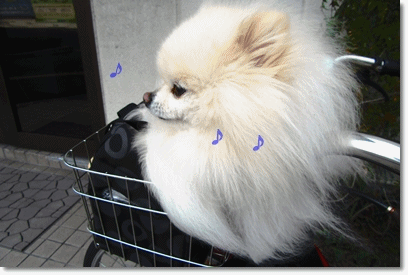b0167519_14185584.gif