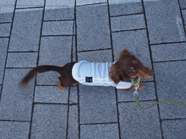 c0117831_1614499.jpg