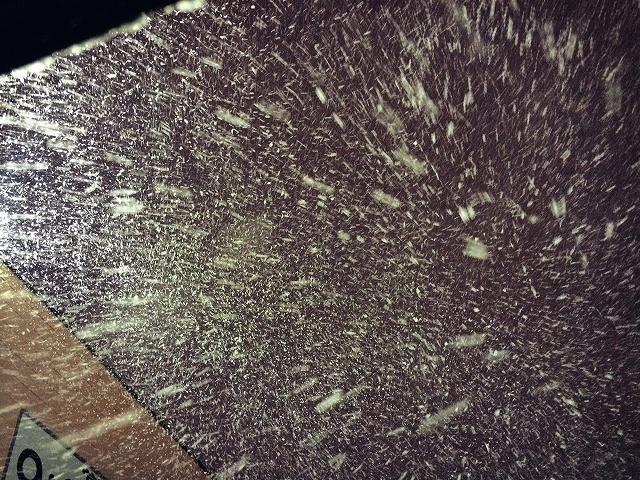 e0290331_16511261.jpg