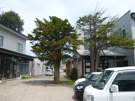 d0217833_8582248.jpg