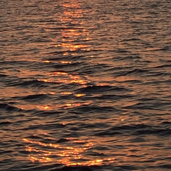 b0184636_17275833.jpg