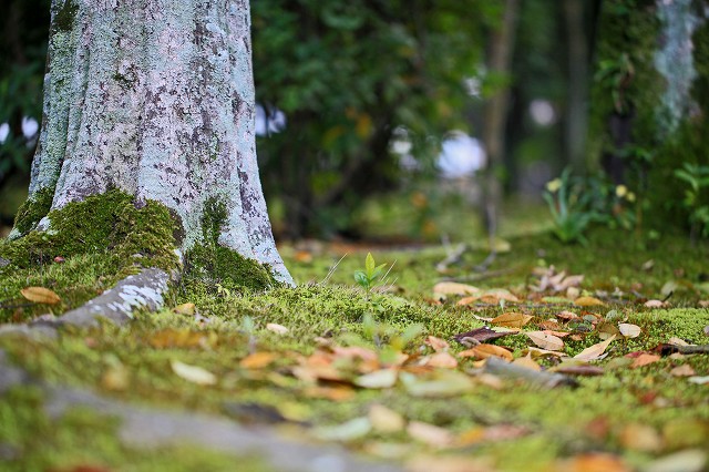 a0242438_1935741.jpg