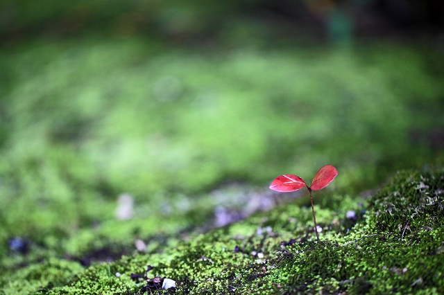 a0242438_19364291.jpg
