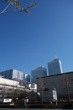 e0080345_7545719.jpg