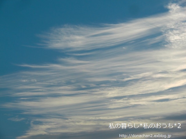 e0354456_9415449.jpg
