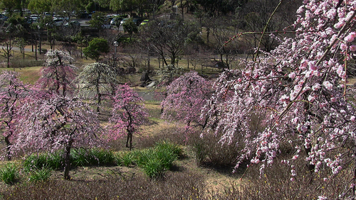 a0208066_1018163.jpg