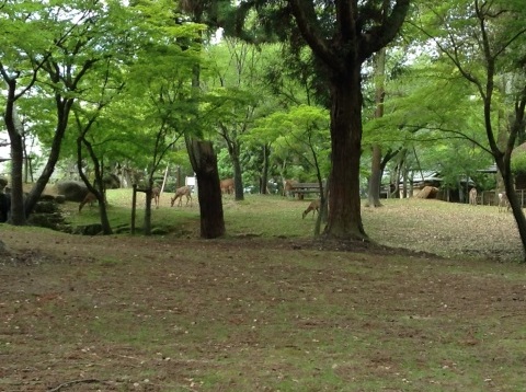 d0168667_18522189.jpg