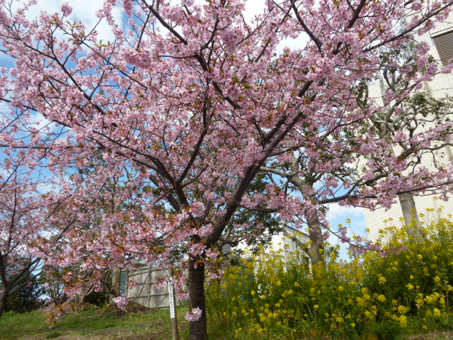 e0278968_2113479.jpg