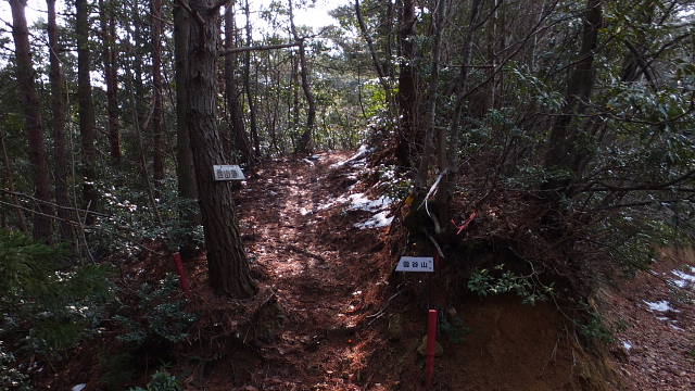 c0022275_9144811.jpg