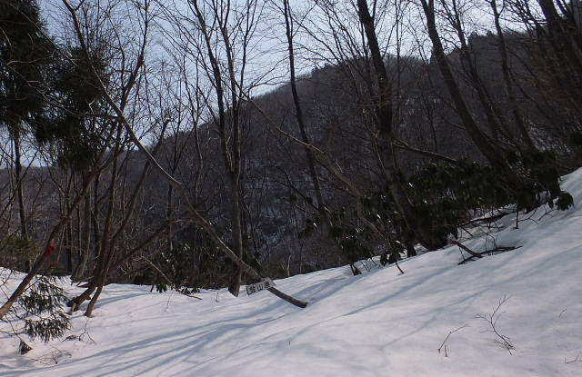 c0022275_9153682.jpg